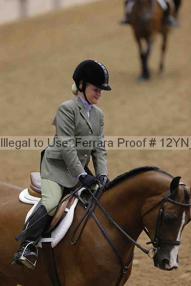 Proof 12yn_16027