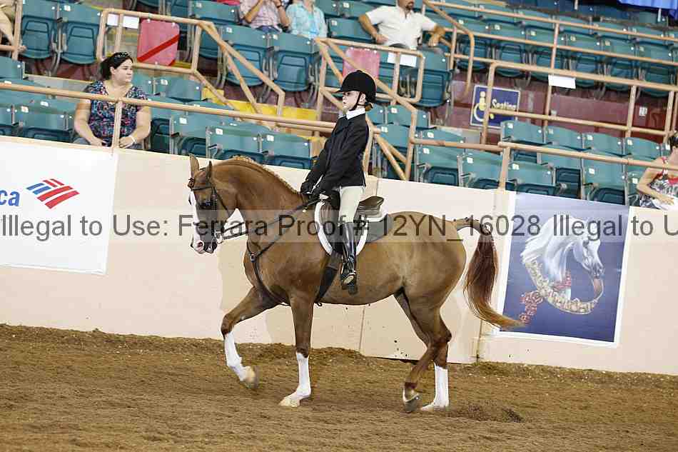 Proof 12yn_16028