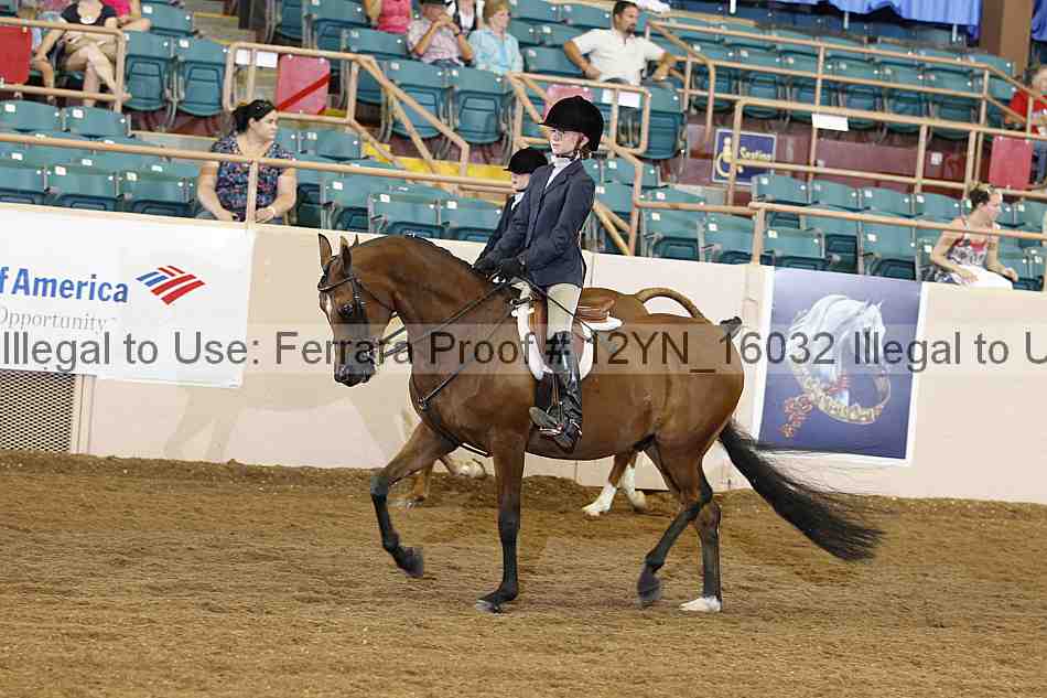 Proof 12yn_16032
