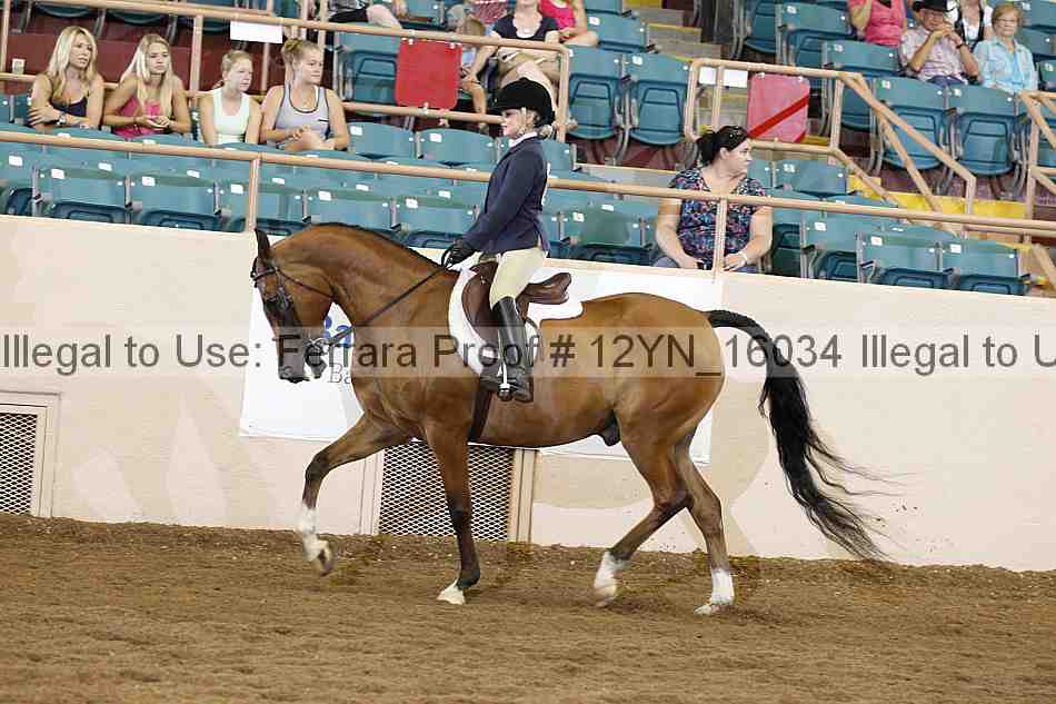 Proof 12yn_16034