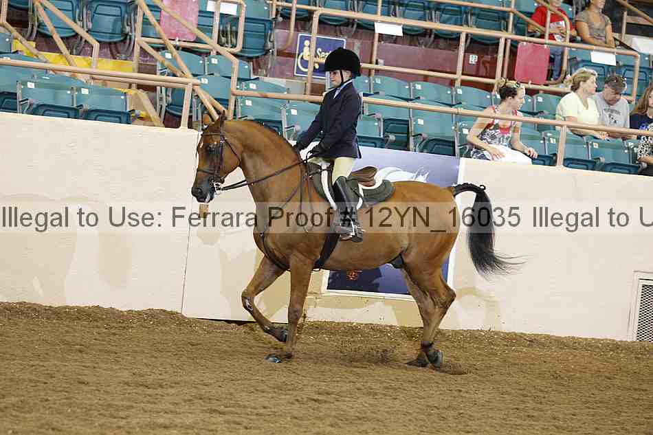 Proof 12yn_16035
