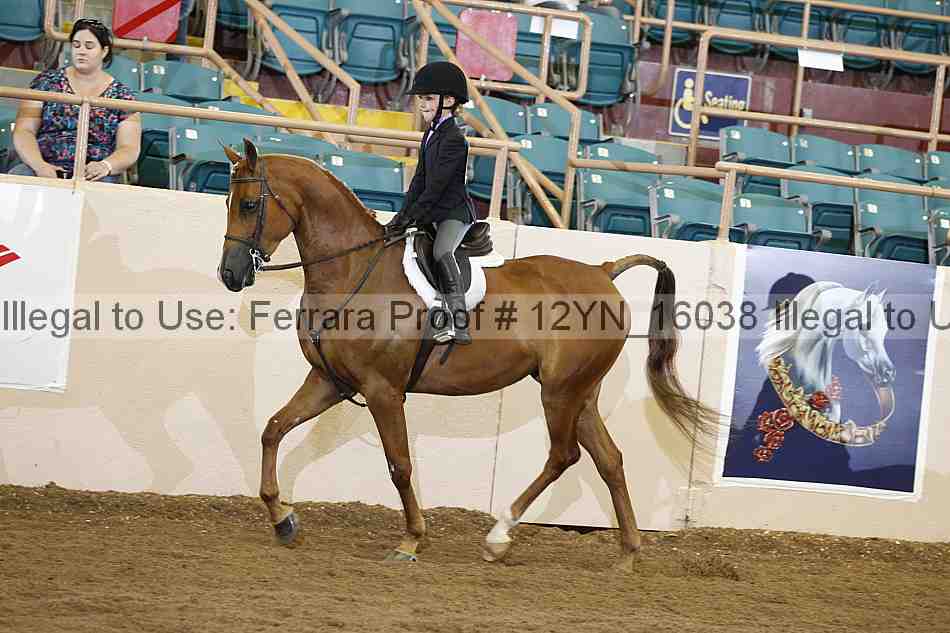 Proof 12yn_16038