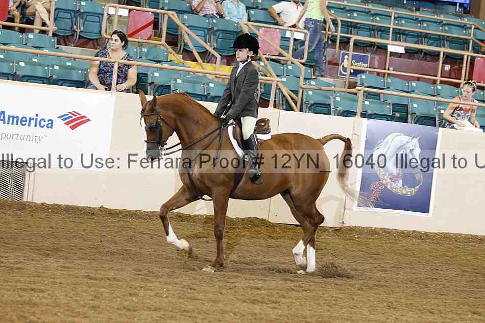 Proof 12yn_16040