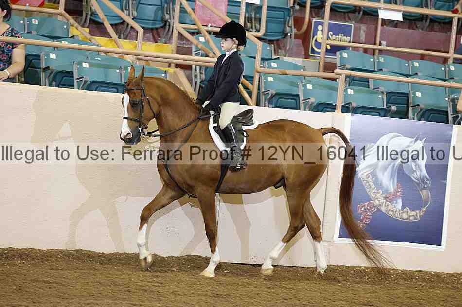 Proof 12yn_16041