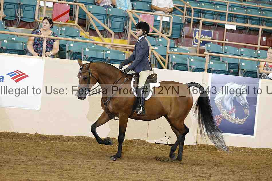Proof 12yn_16043