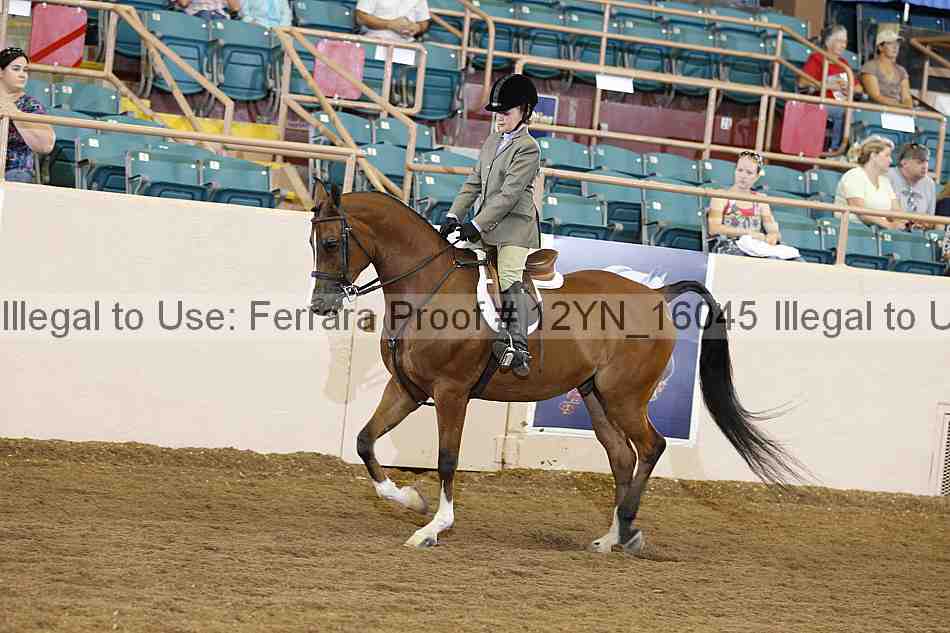 Proof 12yn_16045
