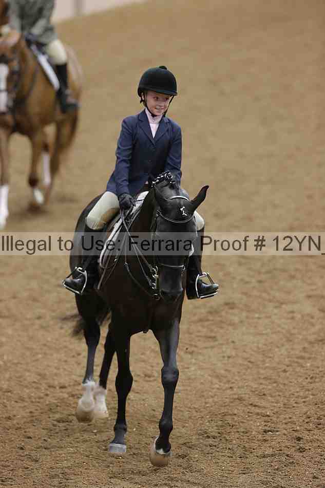 Proof 12yn_16046