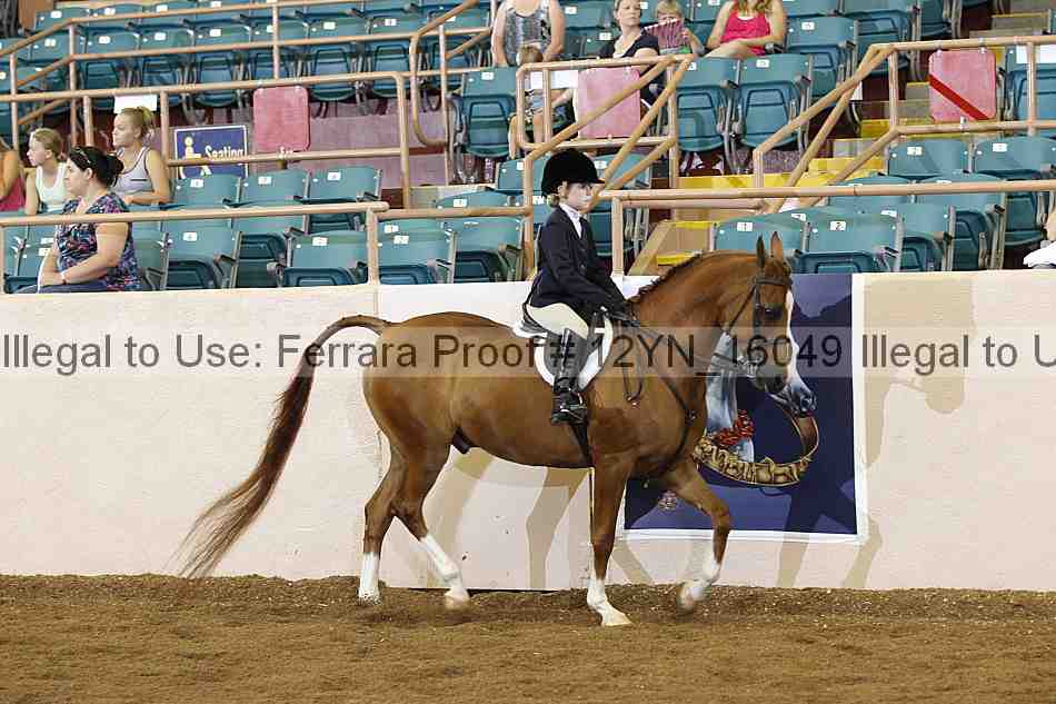 Proof 12yn_16049