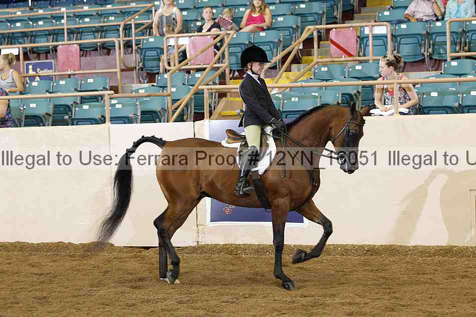 Proof 12yn_16051