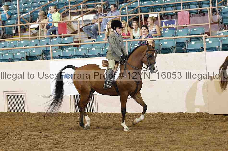 Proof 12yn_16053