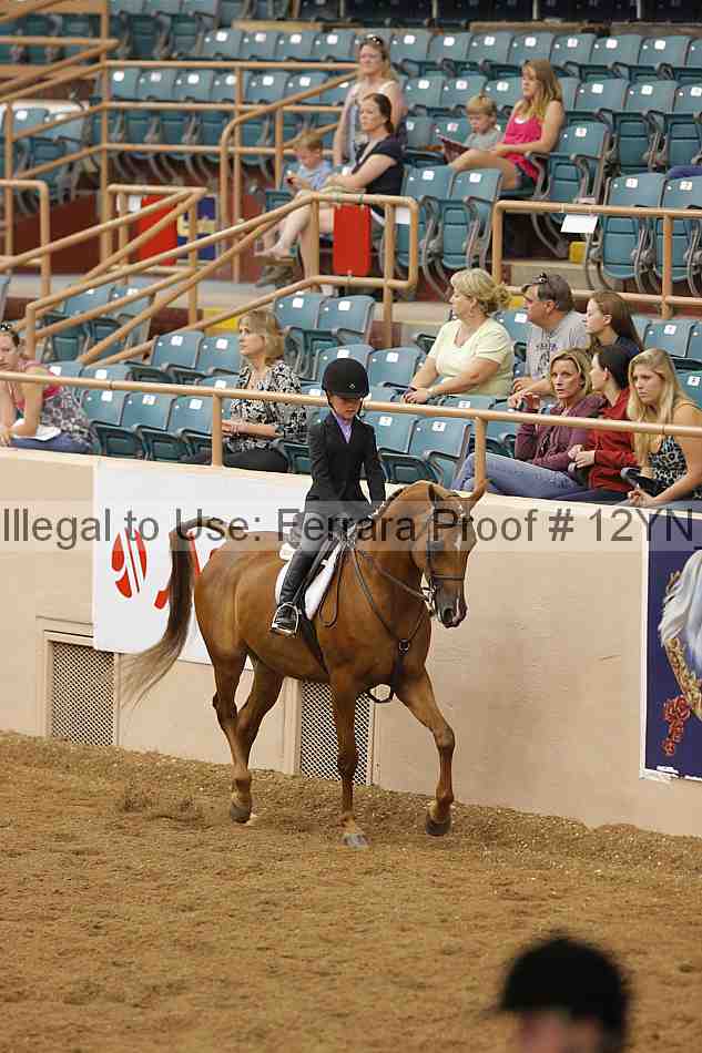 Proof 12yn_16060