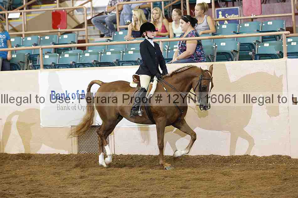 Proof 12yn_16061
