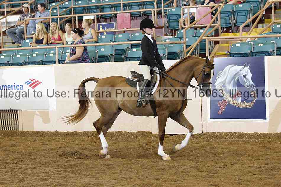 Proof 12yn_16063