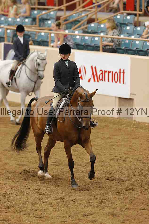Proof 12yn_16065