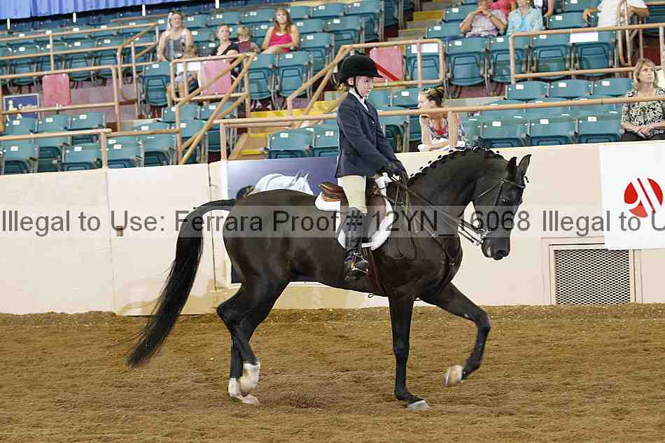 Proof 12yn_16068