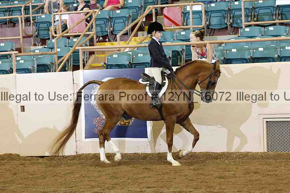 Proof 12yn_16072