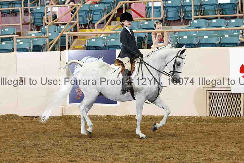 Proof 12yn_16074