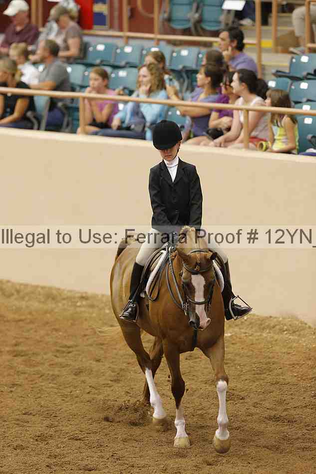 Proof 12yn_16075