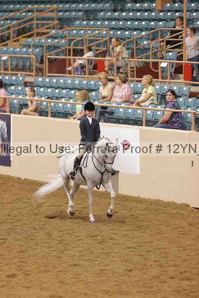 Proof 12yn_16076