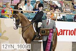 12yn_16091 proof