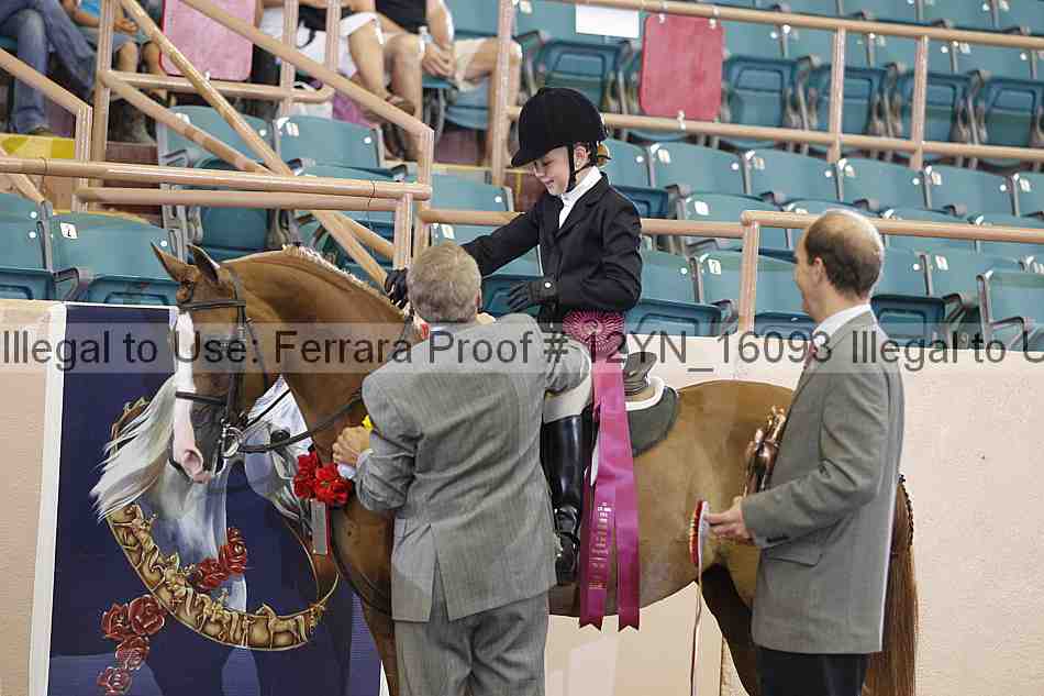 Proof 12yn_16093