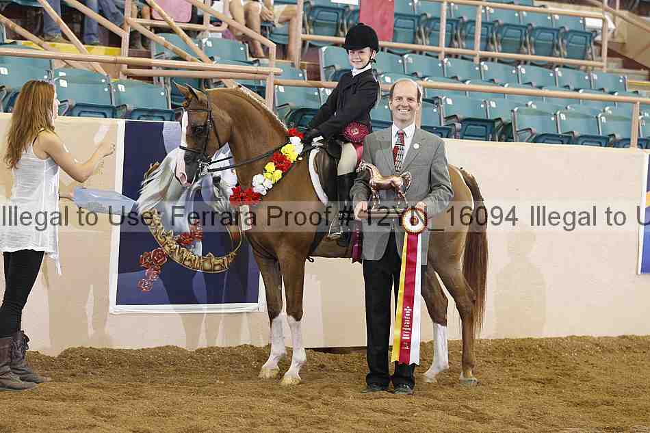 Proof 12yn_16094