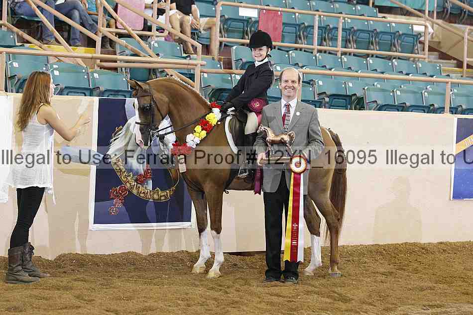 Proof 12yn_16095