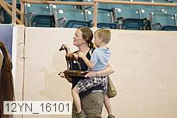 12yn_16101 proof