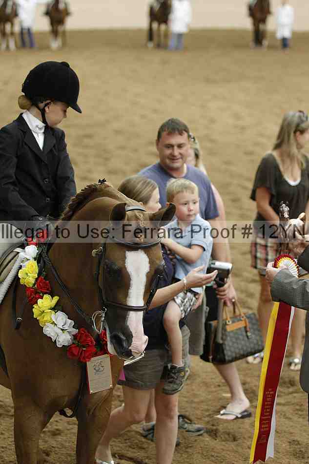 Proof 12yn_16102