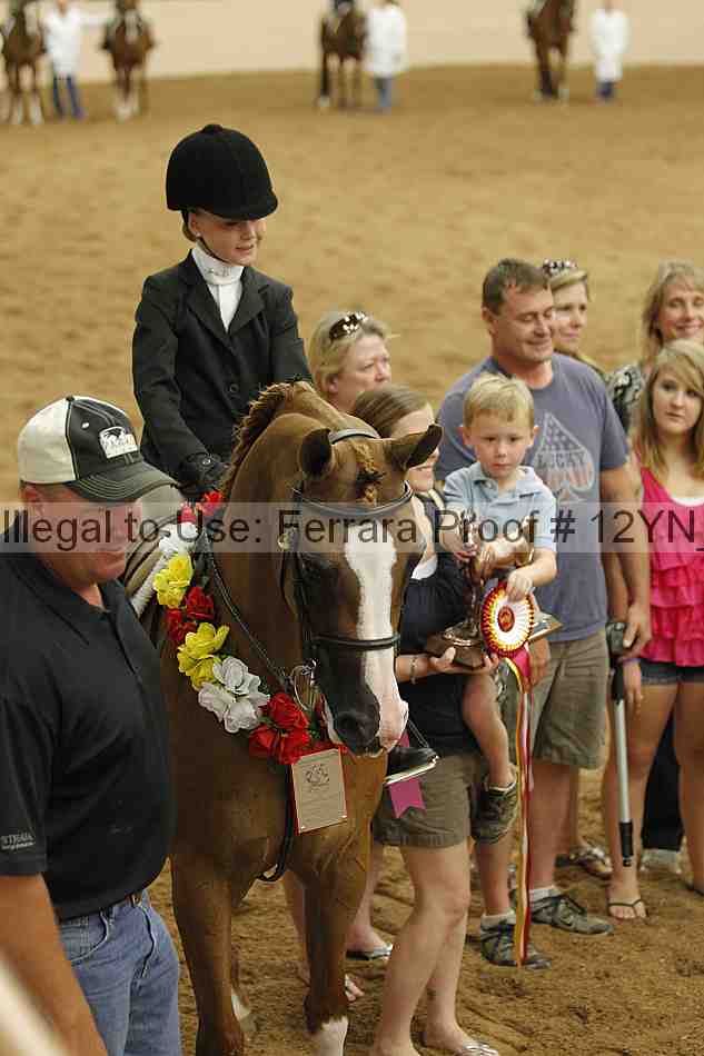 Proof 12yn_16105