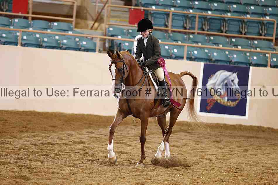 Proof 12yn_16106