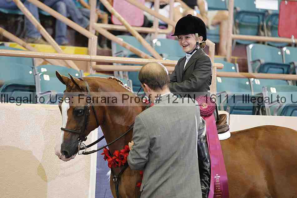 Proof 12yn_16111
