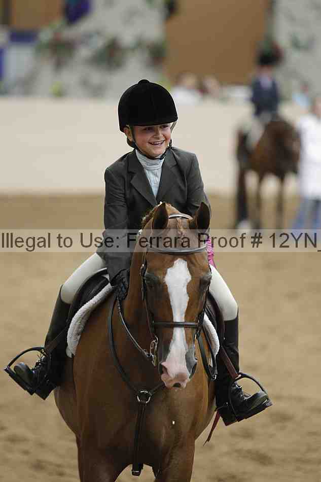 Proof 12yn_16114