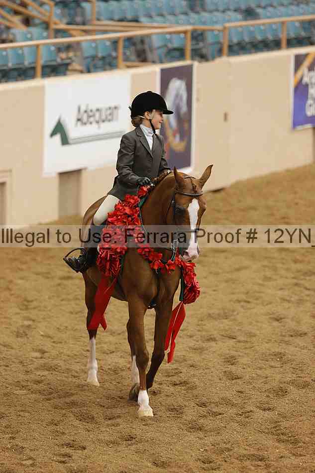 Proof 12yn_16126