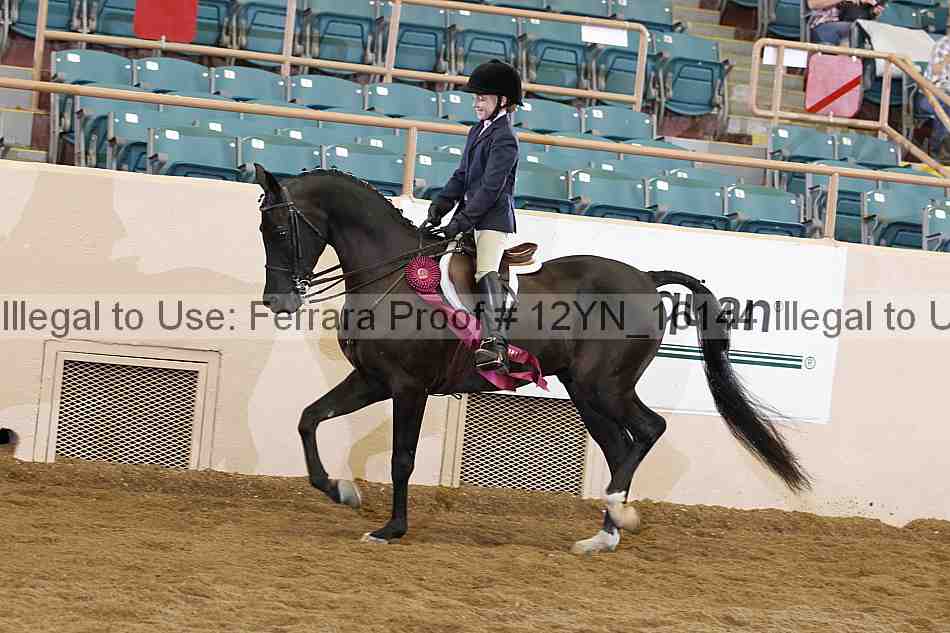 Proof 12yn_16144