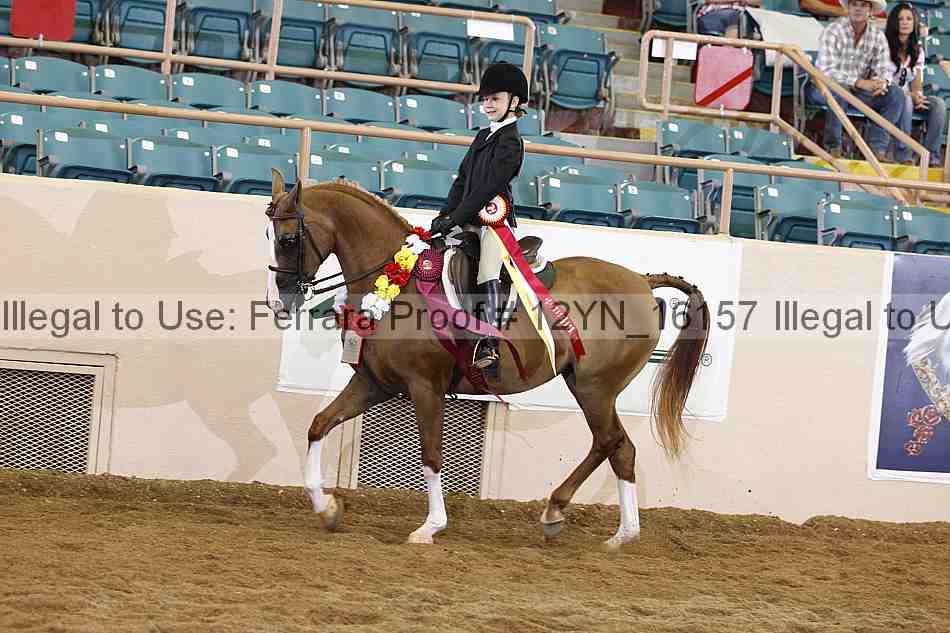 Proof 12yn_16157