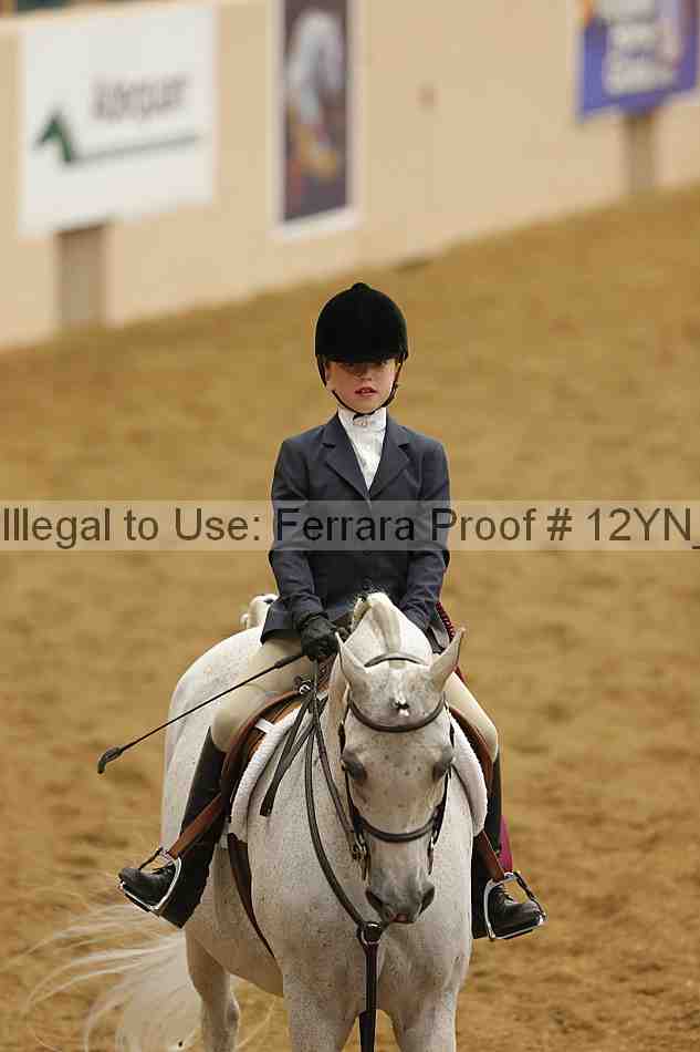 Proof 12yn_16161