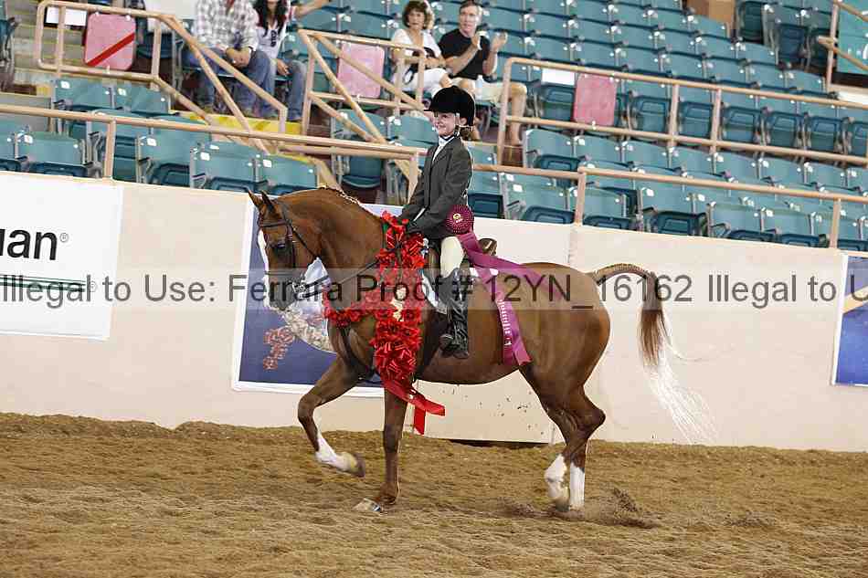 Proof 12yn_16162