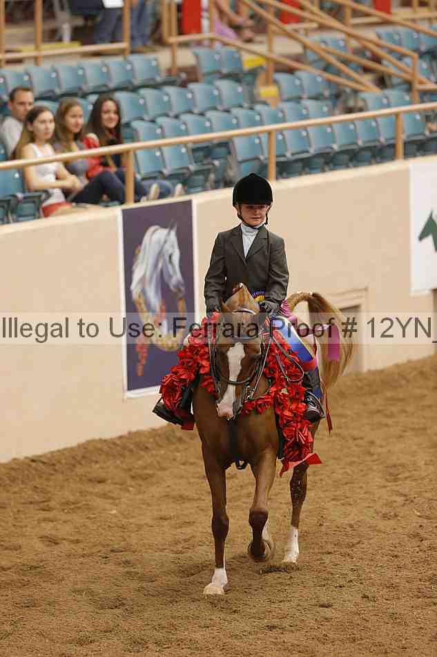 Proof 12yn_16171