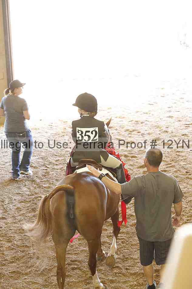 Proof 12yn_16179