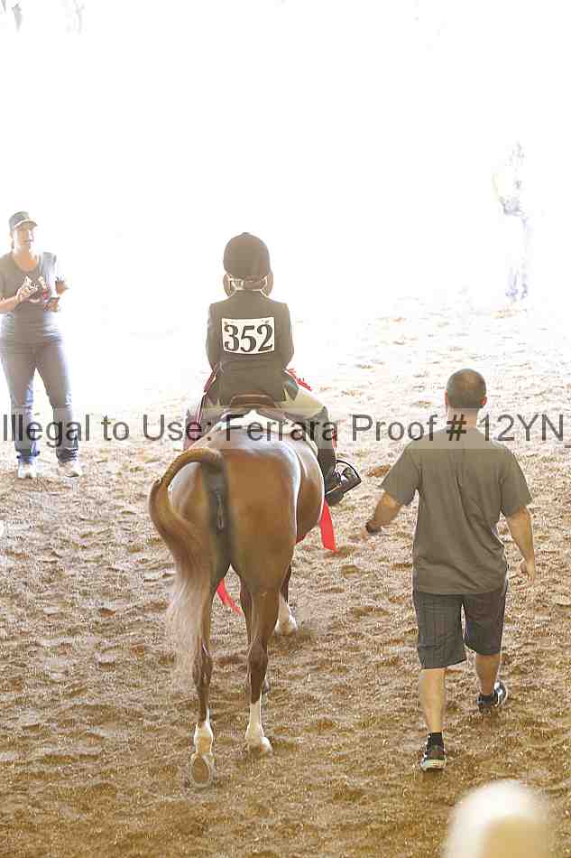 Proof 12yn_16180