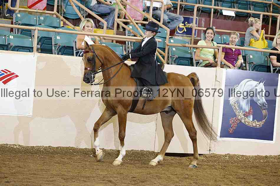 Proof 12yn_06579