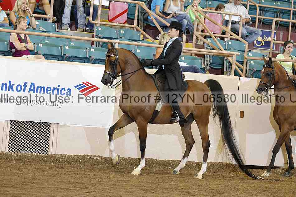 Proof 12yn_06580