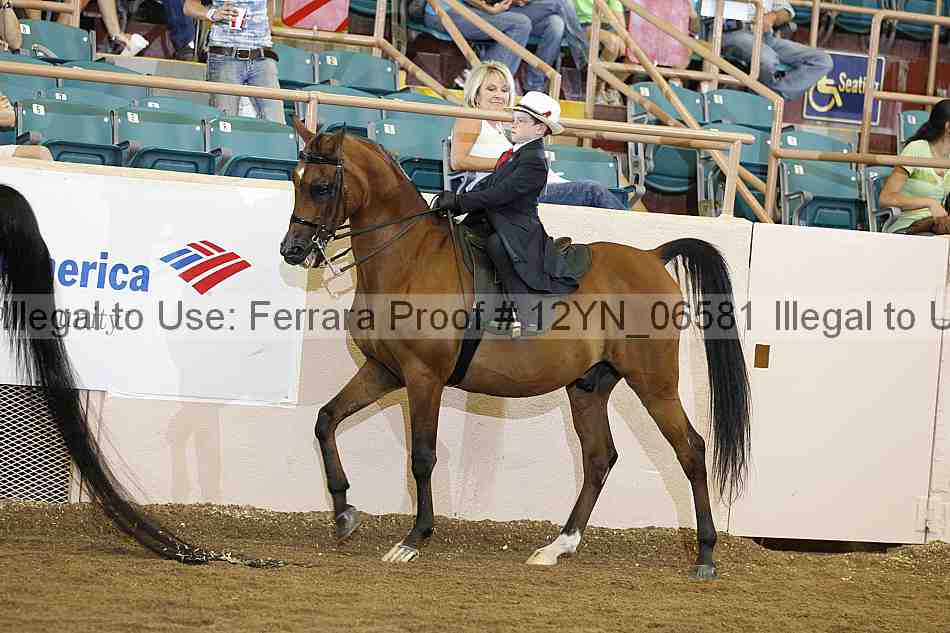 Proof 12yn_06581