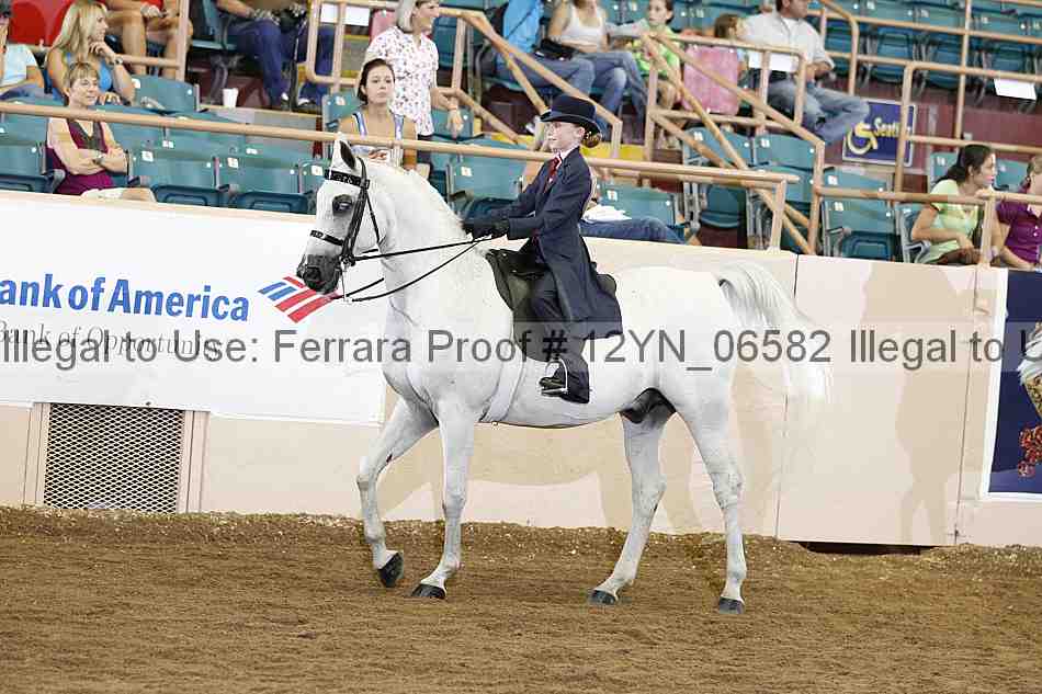 Proof 12yn_06582