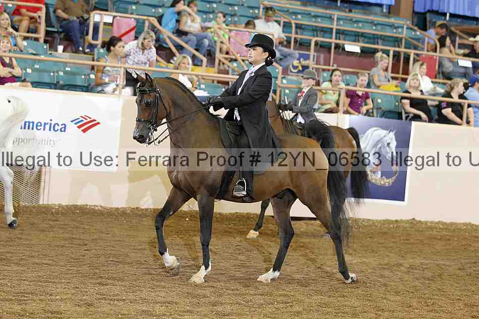 Proof 12yn_06583