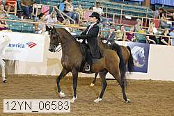 12yn_06583 proof
