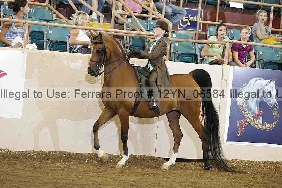 Proof 12yn_06584
