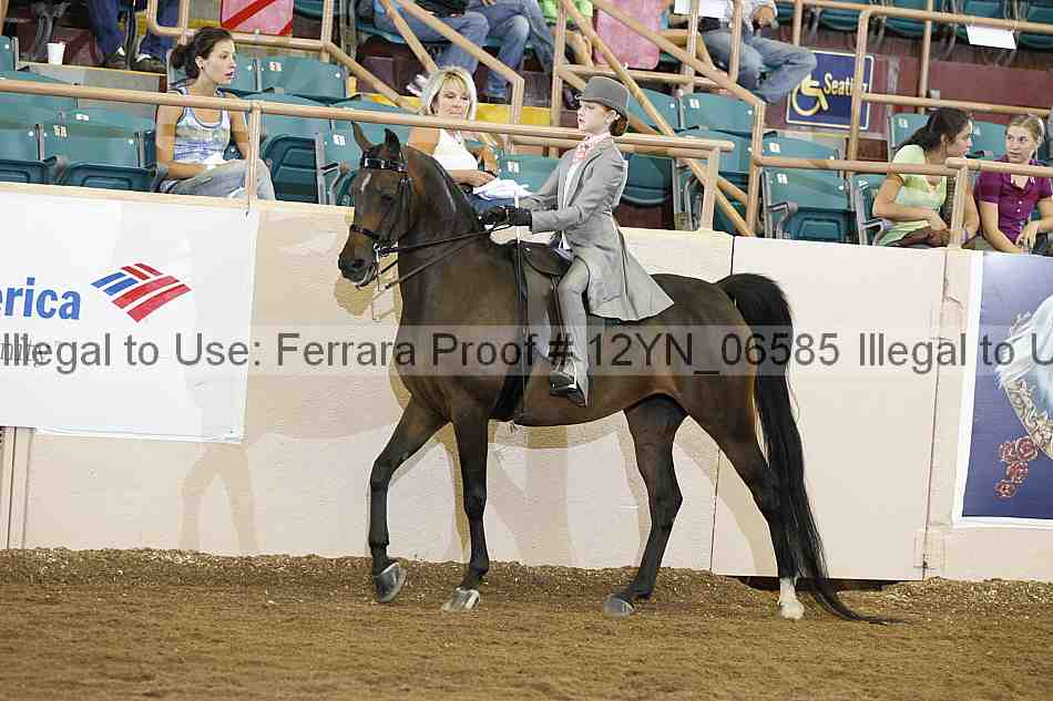 Proof 12yn_06585