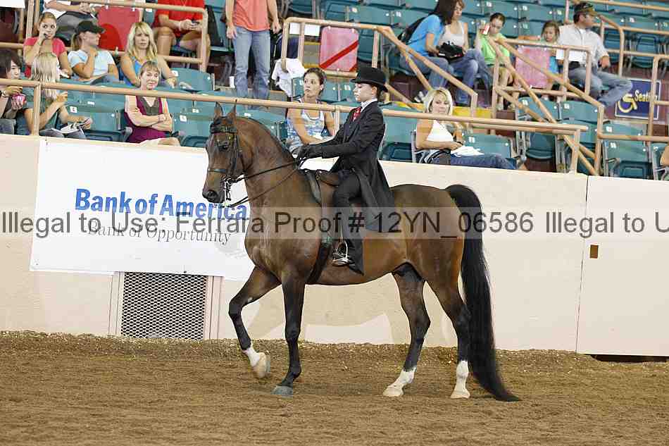 Proof 12yn_06586